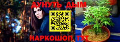 молекула духа Ижевск
