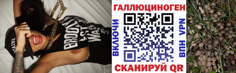 Галлюциногенные грибы Psilocybe  Заринск 