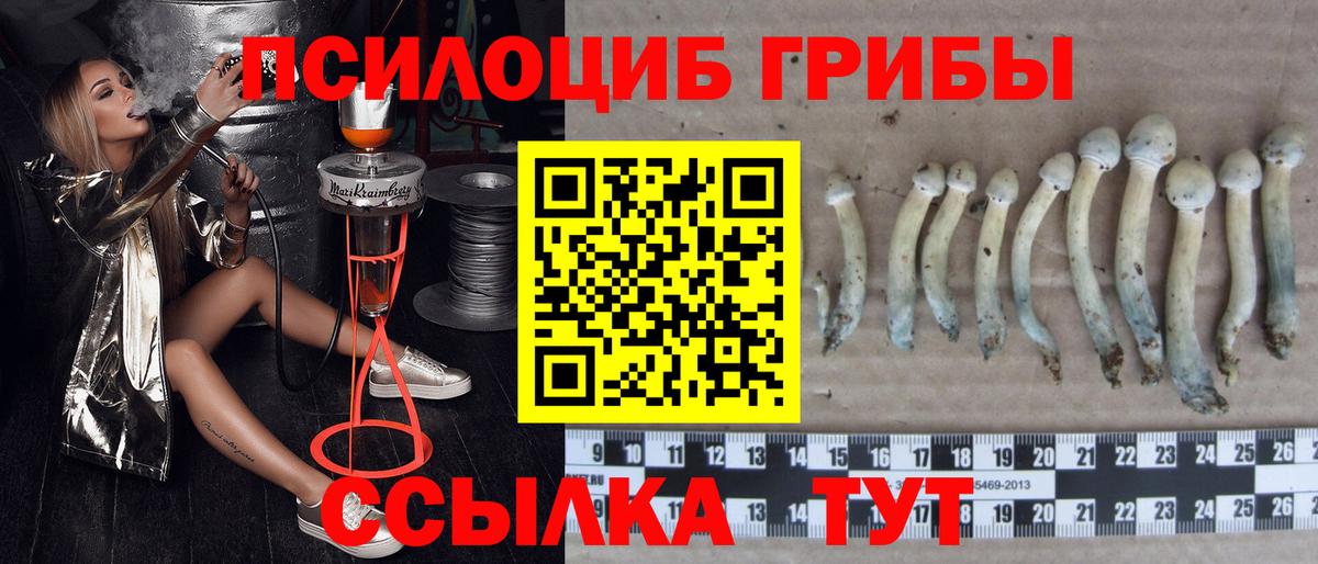Заринск  Галлюциногенные грибы мицелий  цена   Вход с VPN 