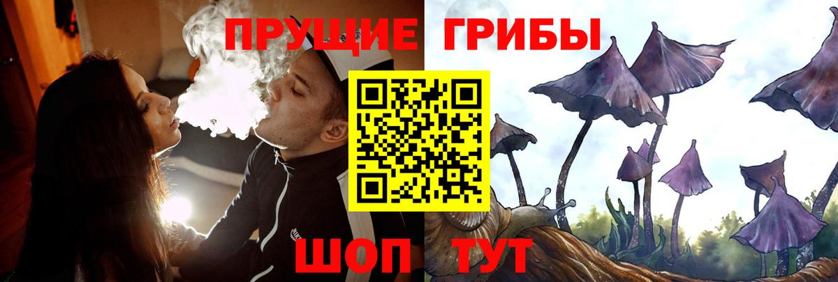 ГАШ Заринск