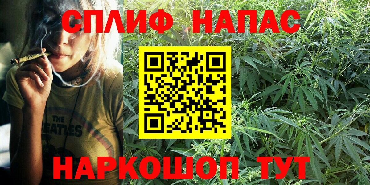 Каннабис конопля Заринск